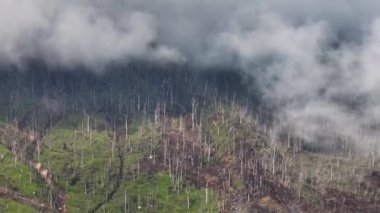 Patlamadan sonra Sinabung volkanı ve yamaçları. Sumatra, Endonezya.