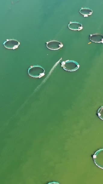Pemandangan Udara Pertanian Laut Dalam Air Laut Kurungan Peternakan Ikan — Stok Video