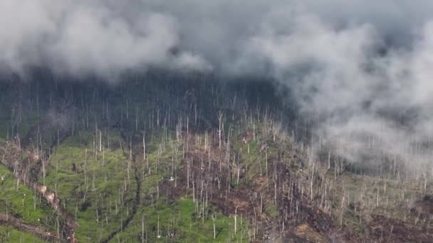 Patlamadan Sonra Sinabung Volkanı Yamaçları Sumatra Endonezya — Stok video