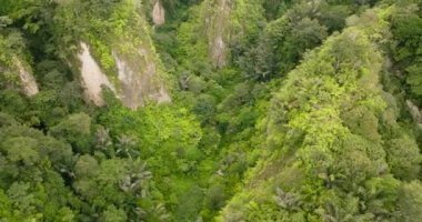 Yağmur ormanları ve ormanları olan dağ kanyonu. Ngarai Sianok. Bukittinggi, Sumatra, Endonezya.