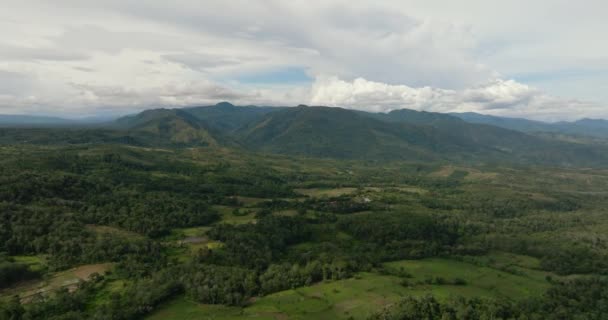 Drone Aereo Risaie Terreni Agricoli Sumatra Indonesia — Video Stock