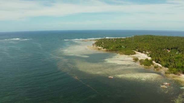 Pantai Pulau Siargao Dengan Hutan Hijau Dan Laut Berselancar Dengan — Stok Video