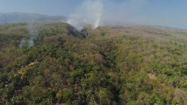 Légi Kilátás Erdőtűz Füst Lejtőkön Dombok Vad Tűz Trópusi Erdőben — Stock videók