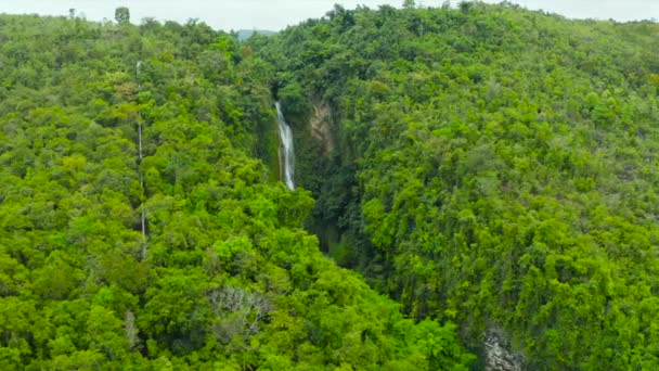 美丽的瀑布在绿林中 尽收眼底 位于菲律宾宿务山区丛林中的热带曼塔尤潘瀑布 热带森林的瀑布 — 图库视频影像