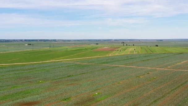 Zemědělská Půda Zelenými Plodinami Zemědělskými Stroji Pohled Shora Krajina Zemědělskou — Stock video