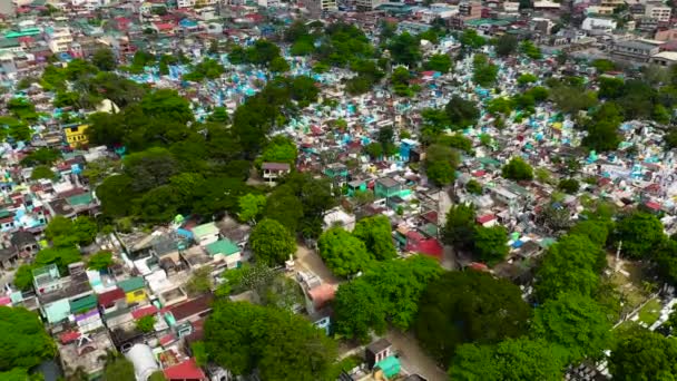 Cementerio Norte Manila Manila Filipinas Muchos Los Mausoleos Están Habitados — Vídeo de stock