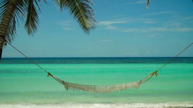 Deniz burnu: hamaklı güzel tropikal plaj. Panglao, Filipinler. Yaz ve seyahat tatil konsepti.
