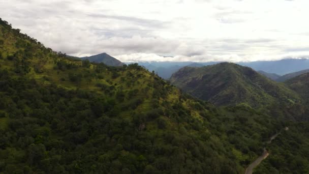 Fresh Green Foliage Tropical Plants Trees Covers Mountains Ravine Sri — Video Stock