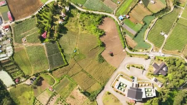 Tarım Arazileri Ekili Tarlalar Kırsaldaki Evler Köyler Sumatra Endonezya — Stok video