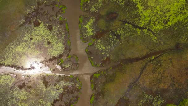 Letecký Pohled Povrch Jezera Nebo Bažiny Tropech Srí Lanky — Stock video