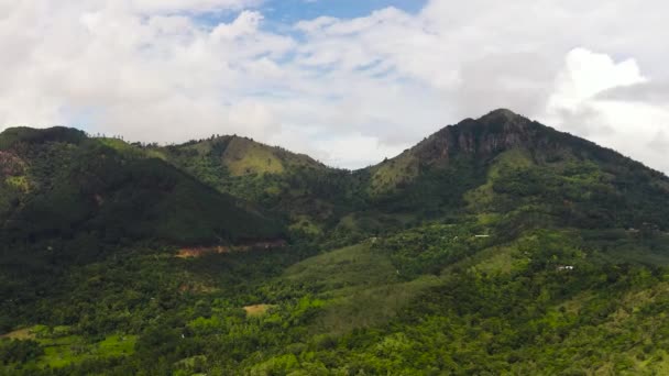 Mountains Covered Rainforest Trees Blue Sky Clouds Sri Lanka — Vídeos de Stock