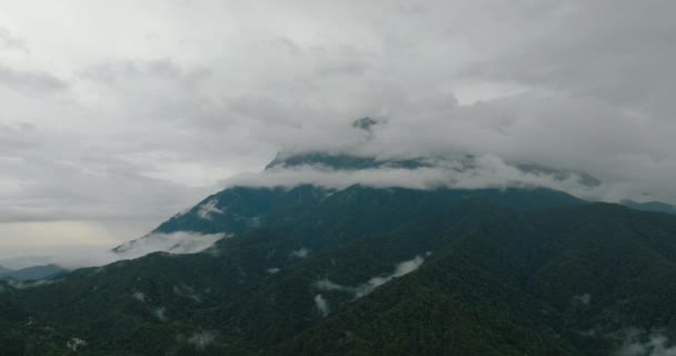 Zbocza Gór Wiecznie Zieloną Roślinnością Malezja Borneo Sabah — Wideo stockowe
