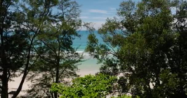 Widok Lotu Ptaka Tropikalnej Plaży Błękitnego Morza Przez Drzewa Sabah — Wideo stockowe