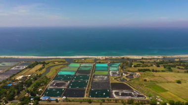 Karides havuzunun ortasında bir fırıldak. Havalandırma pompalı karides çiftliği oksijenli su. Filipinler.