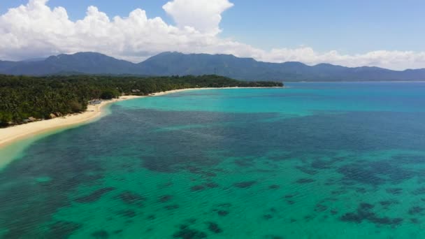 Tropical Beach Palm Trees Blue Ocean Pagudpud Ilocos Norte Philippines — Vídeo de stock