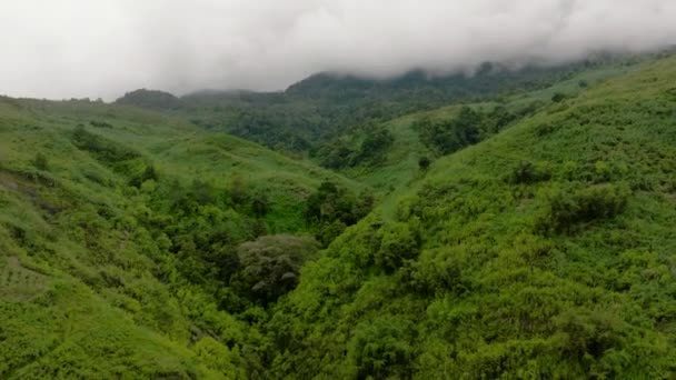 Montañas Con Selva Tropical Tierras Agrícolas Una Provincia Montañosa Sumatra — Vídeo de stock