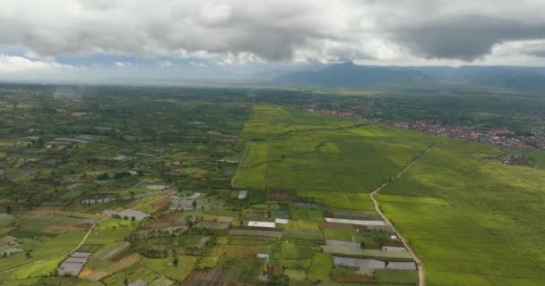 Luchtfoto Van Theeplantages Kayu Aro Berglandschap Met Theelandschap Sumatra Sumatra — Stockvideo