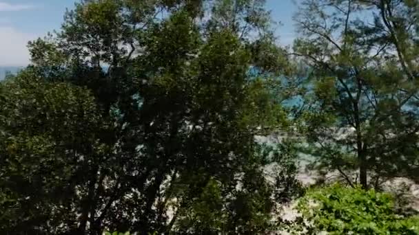 Pantai Tropis Dan Laut Biru Melewati Pepohonan Sabah Kalimantan Malaysia — Stok Video
