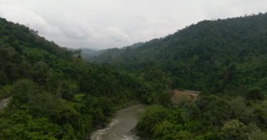 Dağlarda, tropikal ormanların arasında bir nehir. Sumatra, Endonezya.