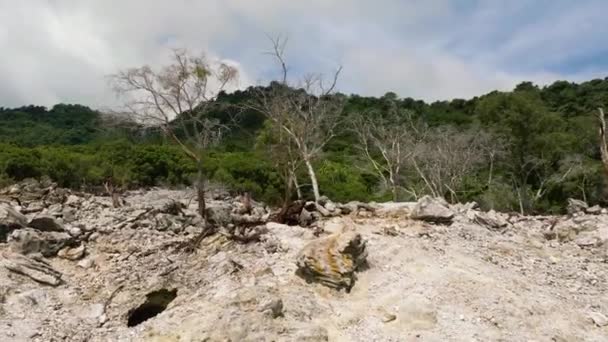 Paisaje Volcánico Con Árboles Marchitos Después Una Erupción Volcánica Selva — Vídeo de stock