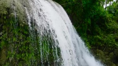 Ağır çekimde ormanla çevrili tropik bir şelale. Lusno Şelalesi. Cebu, Filipinler.