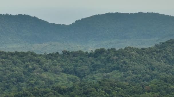 Berghellingen Bedekt Met Regenwoud Jungle Sumatra Indonesië — Stockvideo
