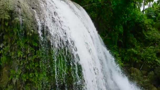 Una Cascata Tropicale Circondata Dalla Giungla Rallentatore Cascate Lusno Cebu — Video Stock