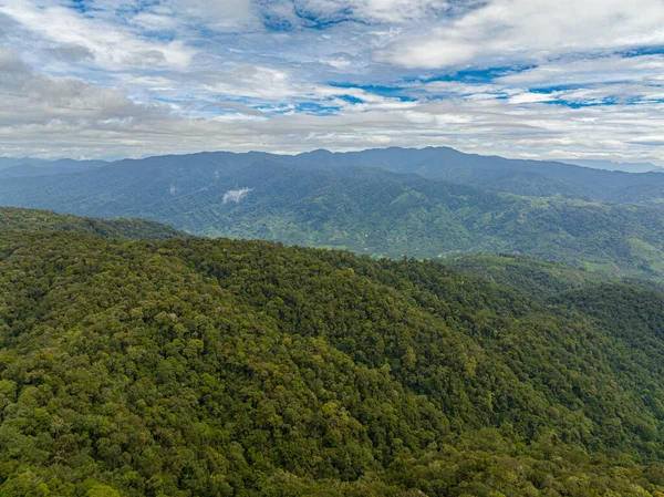 Top view of mountains and hills with green forest and trees in the tropics. Sumatra, Indonesia.