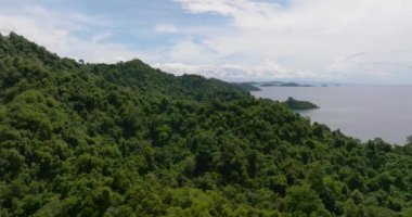 Körfezde yağmur ormanları ve tropik adalar var. Borneo. Sabah, Malezya.