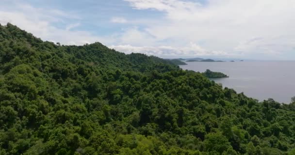 Côte Avec Forêt Tropicale Îles Tropicales Dans Baie Bornéo Sabah — Video