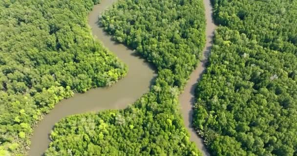 Luchtfoto Van Jungle Mangroven Het Eiland Borneo Maleisië — Stockvideo