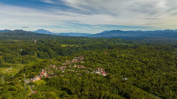 Вид Воздуха Сельхозугодия Выращиванием Риса Овощей Горной Долине Букиттингги Суматра — стоковое фото
