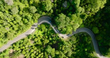 Dağlar ve orman arasında kıvrımlı bir yol. Sumatra, Endonezya.