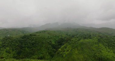 Dağlarda sis ve bulutlar olan tropik orman ve orman. Sumatra, Endonezya.