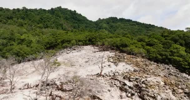 Flygdrönare Vulkaniska Landskap Med Vissna Träd Efter Ett Vulkanutbrott Djungeln — Stockvideo