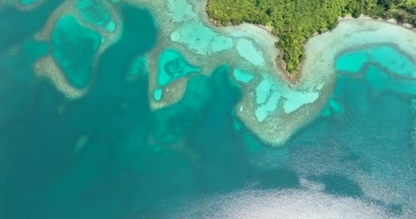 Vue Aérienne Lagon Tropical Avec Eau Turquoise Littoral Avec Végétation — Video