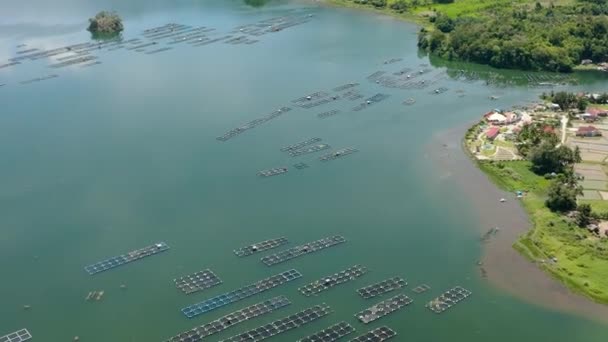 Maninjau Gölü Ndeki Çiftlik Balık Çiftliğinin Havadan Görünüşü Sumatra Nın — Stok video