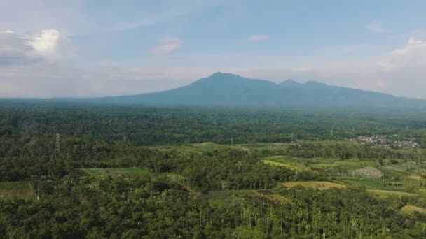 Βουνά Και Χωράφια Στην Τροπική Θέα Από Ψηλά Σουμάτρα Ινδονησία — Αρχείο Βίντεο