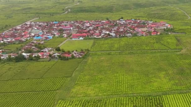 Bovenaanzicht Van Het Landschap Met Theegebied Kayu Aro Theeplantages Sumatra — Stockvideo