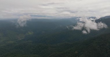 Yağmur ormanı ve bulutlu dağların havadan görünüşü. Tropik bir manzara. Sumatra, Endonezya.