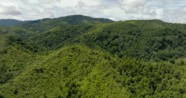 Yağmur ormanları ve ormanlarla kaplı dağ yamaçları. Sumatra, Endonezya.