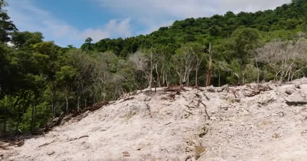 Consequências Uma Erupção Vulcânica Com Terra Queimada Árvores Mortas Weh — Vídeo de Stock