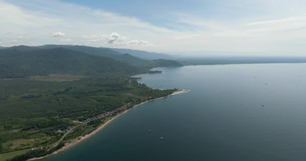 Wybrzeże Sumatry Gruntami Uprawnymi Palmami Olejowymi Indonezja — Wideo stockowe