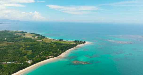 Piękna Piaszczysta Plaża Palmami Błękitnym Morzem Borneo Malezja — Wideo stockowe