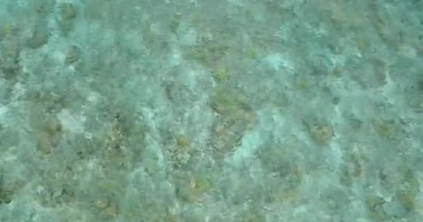 Vista Superior Superficie Del Agua Mar Laguna Con Arrecife Coral — Vídeos de Stock