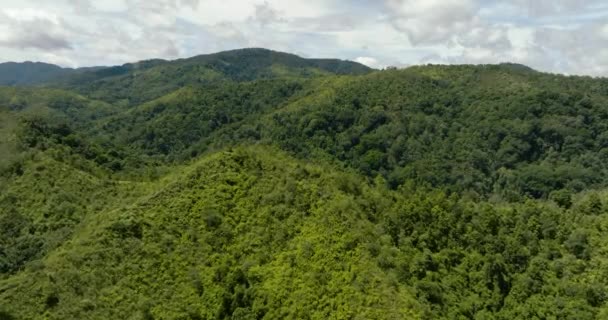 Berghellingen Bedekt Met Regenwoud Jungle Sumatra Indonesië — Stockvideo