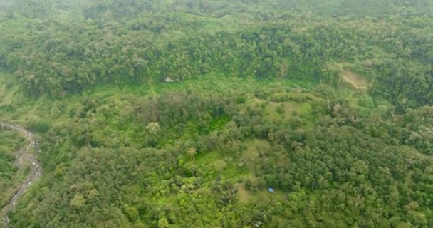 Regenwoud Jungle Sumatra Indonesië Tropisch Landschap — Stockvideo