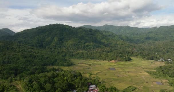 Bovenaanzicht Rijstvelden Landbouwgrond Bergen Van Sumatra Indonesië — Stockvideo