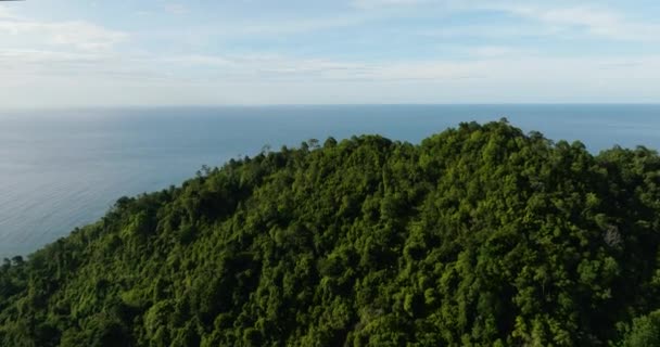有热带雨林和蓝色海的高山的空中景观 热带风景 印度尼西亚苏门答腊 — 图库视频影像