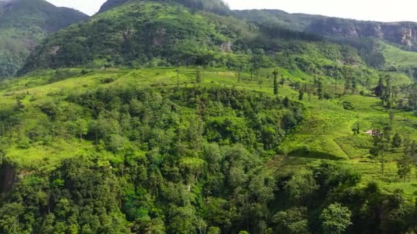 Вид Воздуха Горные Склоны Тропическими Лесами Сельскохозяйственными Угодьями Фермеров Рамбода — стоковое видео